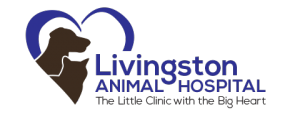 livingston logo 1