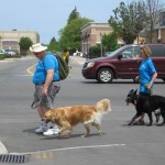 Purina Dog walk 2016 024